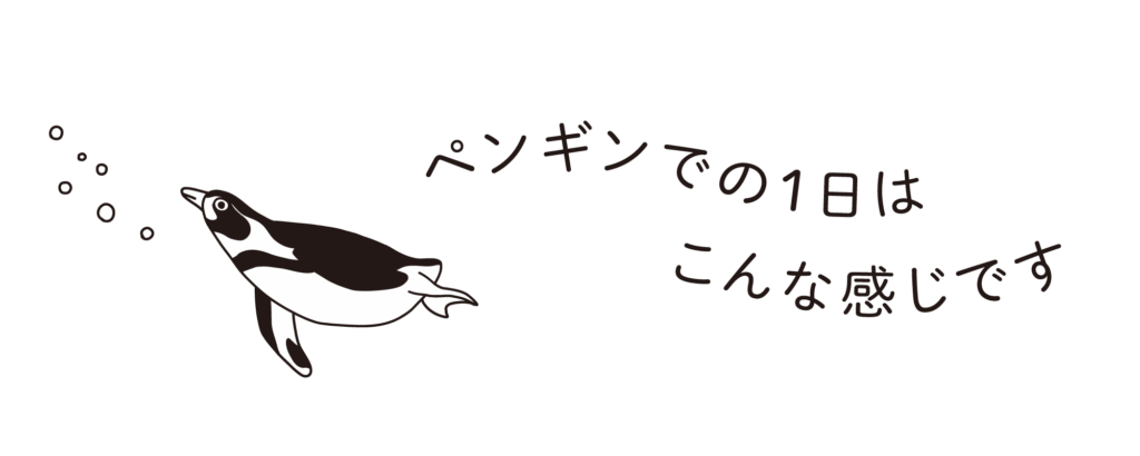 ペンギンでの1日はこんな感じです